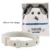 42cm for dog
